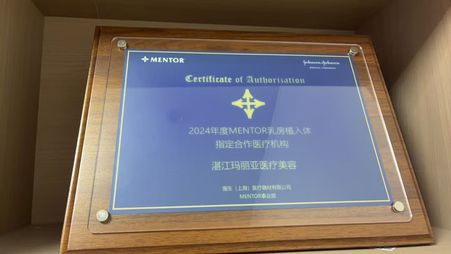 MENTOR指定合作机构